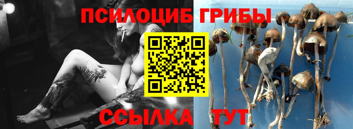 Псилоцибиновые грибы Psilocybe  Галлюциногенные грибы Cubensis  Вход с VPN  наркотики  Химки 